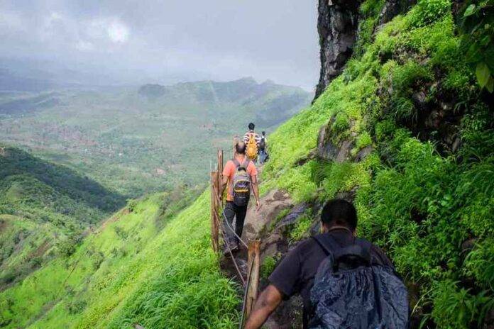 Trekking in South India